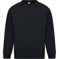 Sterling Sweatshirt Crew Neck 300 Adult AA24